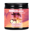Breeze Pro Odor Candle (1ct)