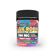 Deltiva Live Rosin - Delta 9 300mg Gummies - 8 Pack