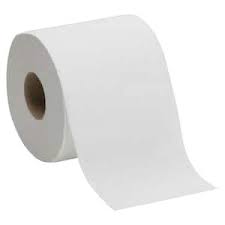 Toilet Paper (1ct)