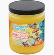 Smoke Odor 13 Oz Candles